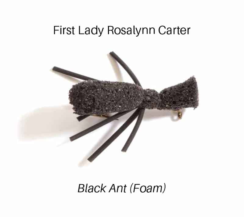 black ant fly