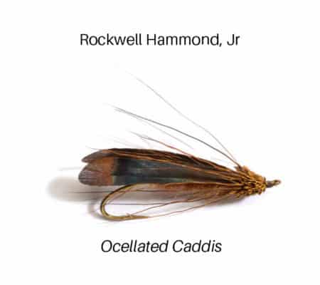 america's favorite flies Ocellated Caddis